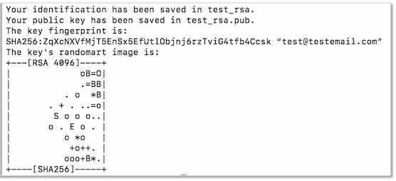 RSA Keys Generated